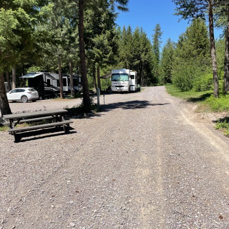 Image of RVs parked at Nugget RV Park