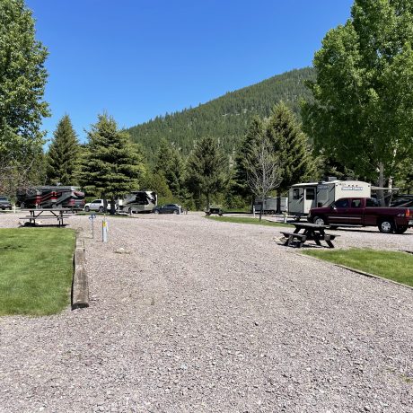 Image of gravel and dirt roads with nearby trees at Nugget RV Park