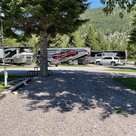 Image of RVs parked at Nugget RV Park