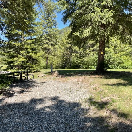 Image of trees, grass, and nature at Nugget RV Park