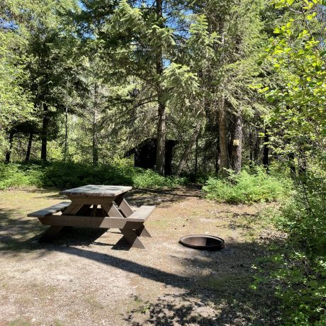 Image of trees, grass, and nature with table, bench, and fire pit at Nugget RV Park