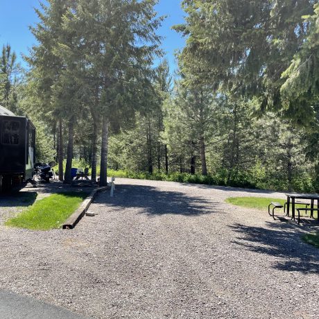 Image of gravel and dirt grounds with surrounding trees at Nugget RV Park